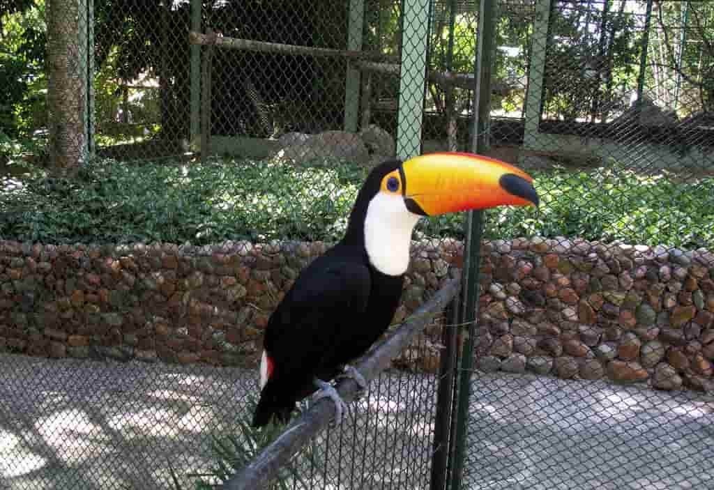 Pontos turísticos de Santa Catarina, Zoo Pomerode