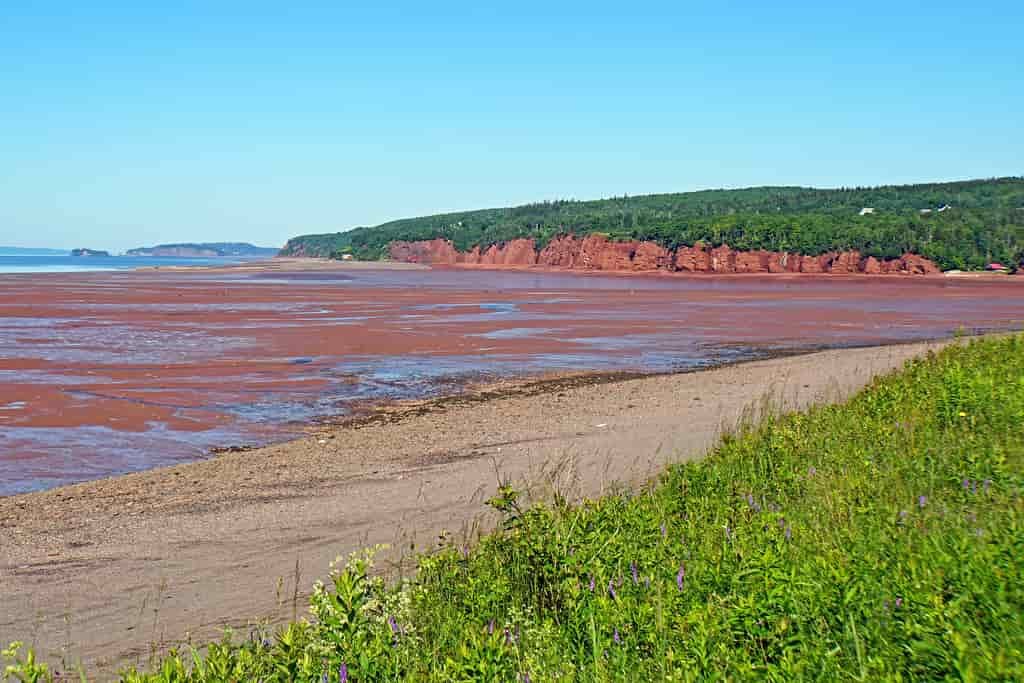 O que fazer em Canada, Baía de Fundy