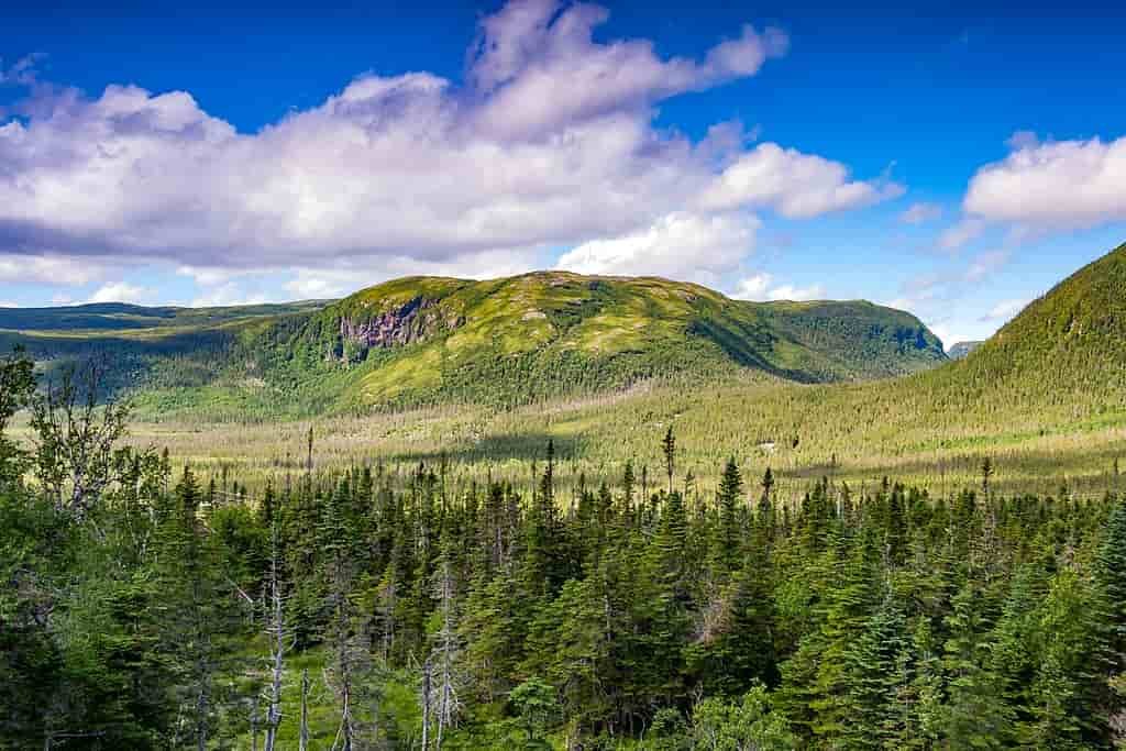 Parque Nacional Gros Morne