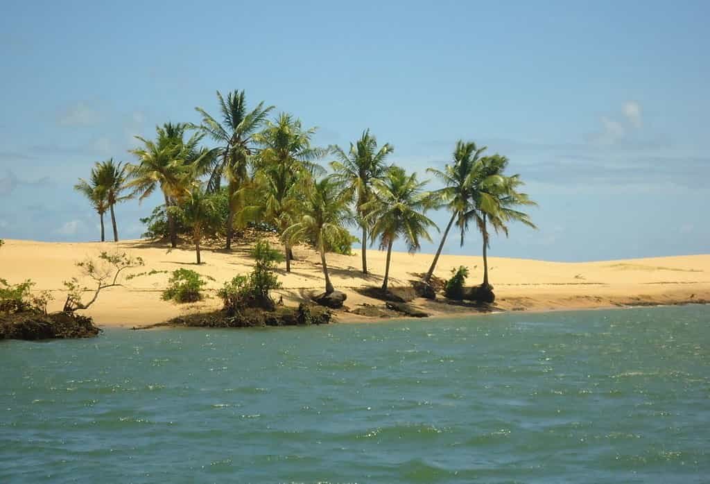 Praias de Alagoas, Praia da Foz do Rio São Francisco