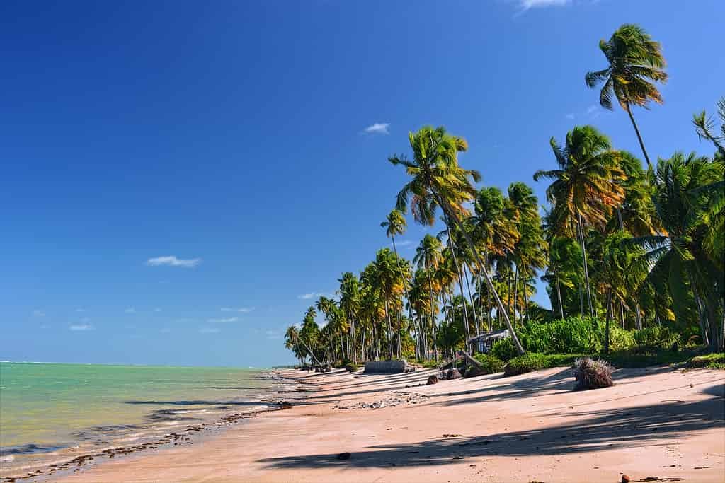 Praia do Patacho