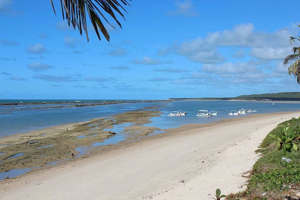 Praia da Barra de São Miguel