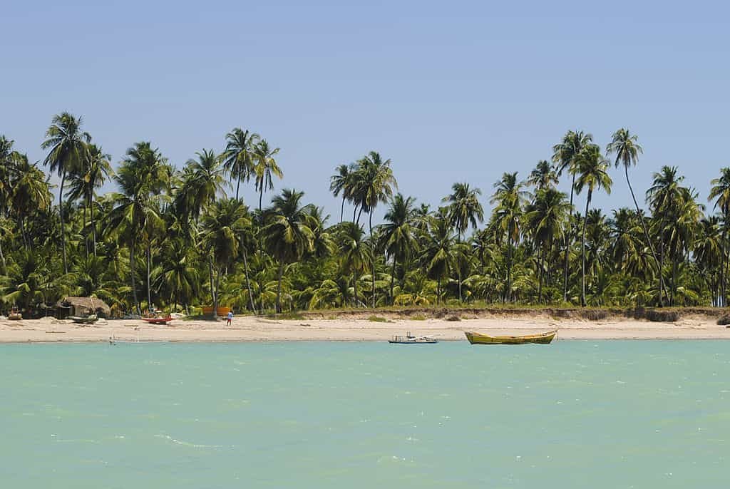 15 Melhores e Mais Belas Praias de Alagoas